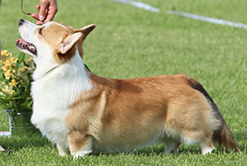 journeytochamberfsecrets_CAC.jpg - 65,1 KB